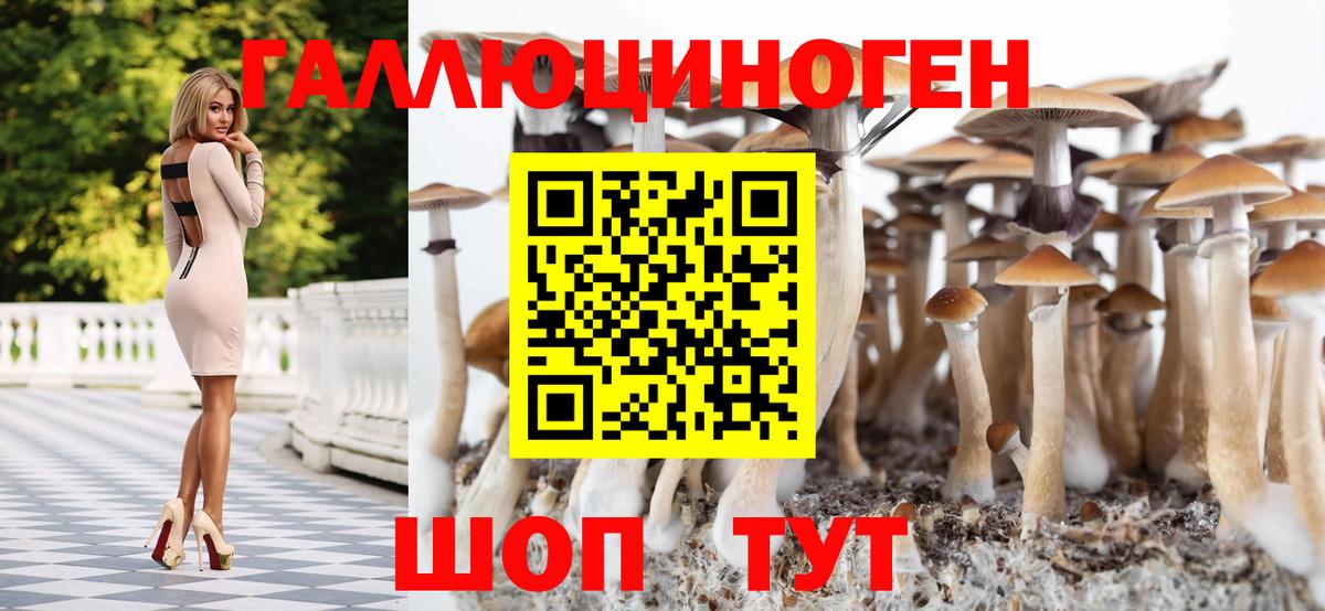 Трёхгорный  Галлюциногенные грибы GOLDEN TEACHER  Вход с VPN 