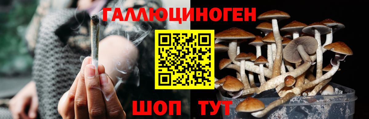 МЕФ кристаллы  Cocaine  Трёхгорный  ГАШ  Канабис  Вход с VPN 